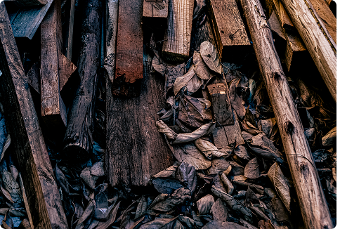 Maximizing Returns: ValueTek’s Digital Auctions Unlocked ₹87 Lakh from Wood Scrap